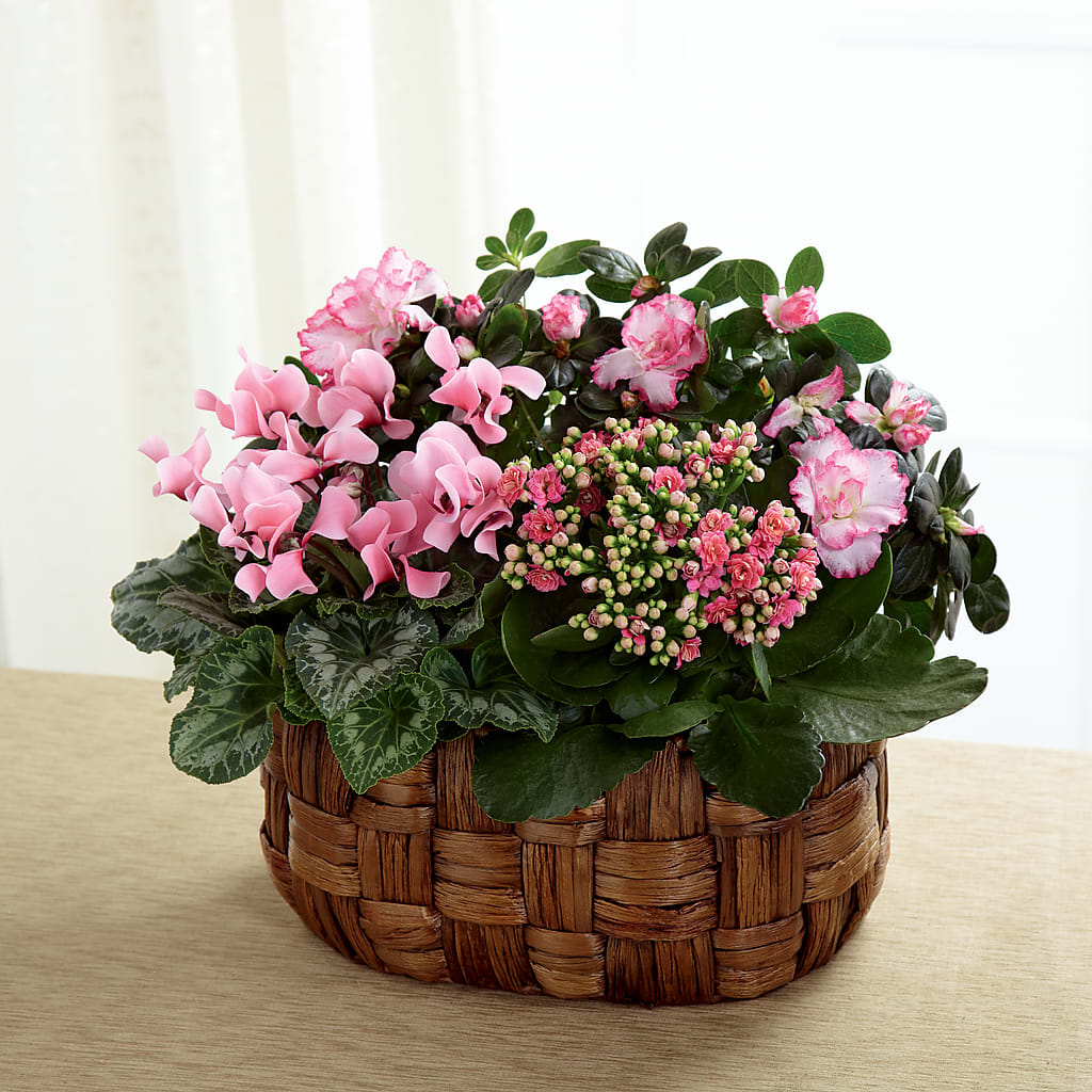 Pink Assortment – DAISY'S FLOWER SHOP, Hemet CA