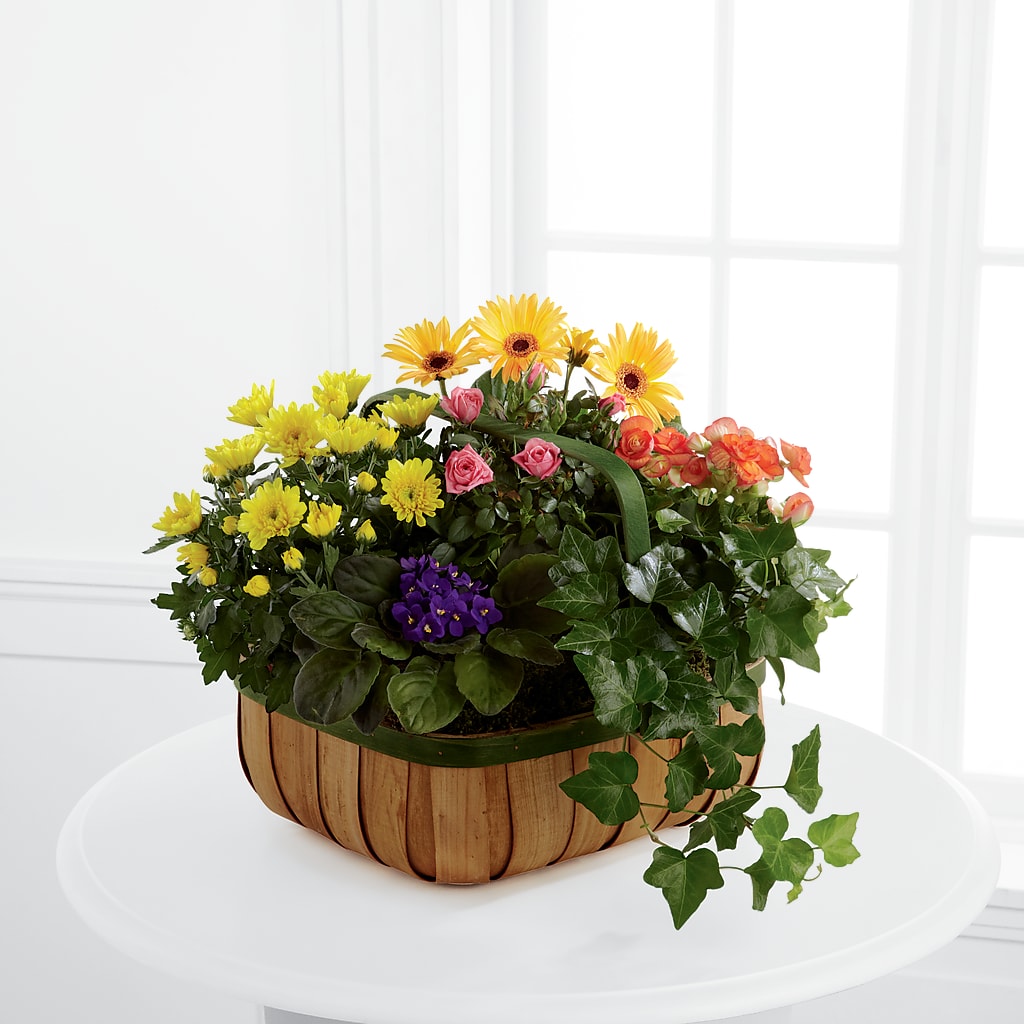Gentle Blossoms Basket – DAISY'S FLOWER SHOP, Hemet CA