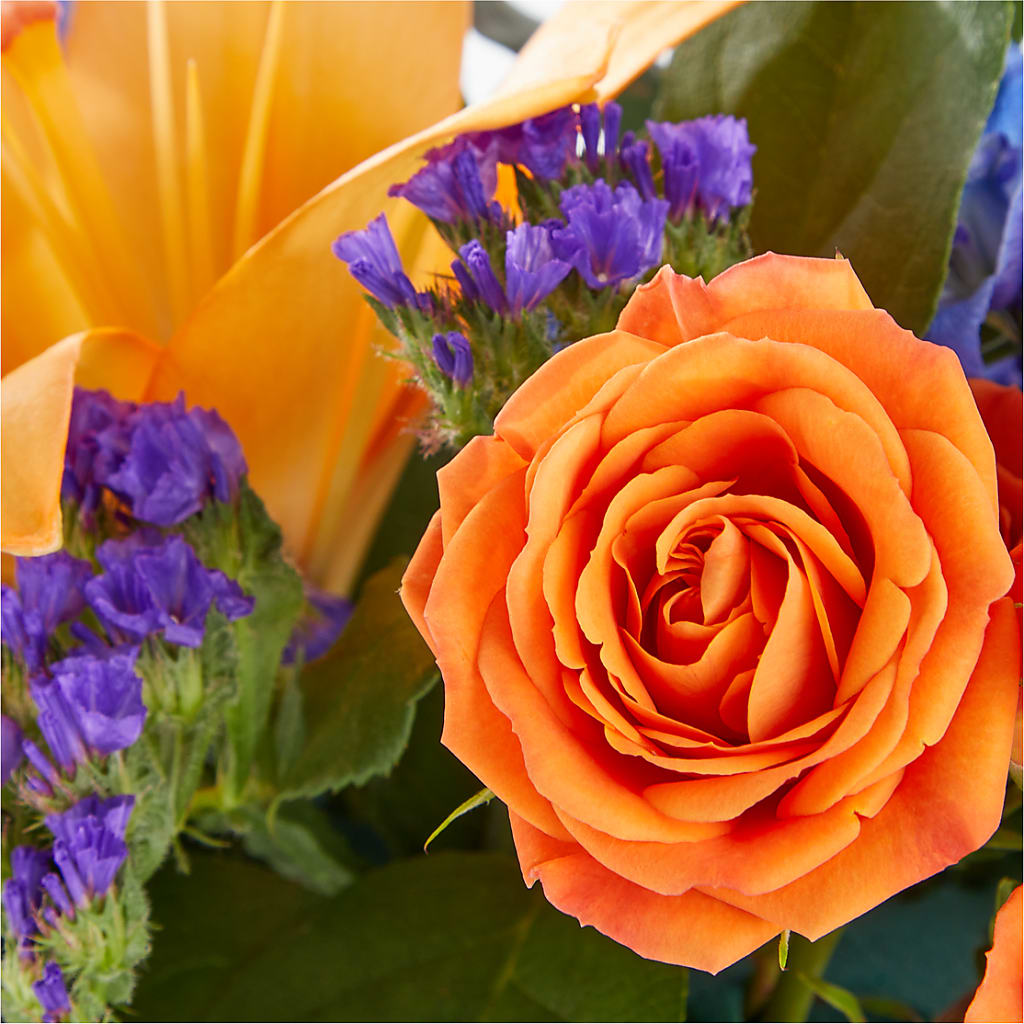 Radiant Citrus Box Bouquet – DAISY'S FLOWER SHOP, Hemet CA