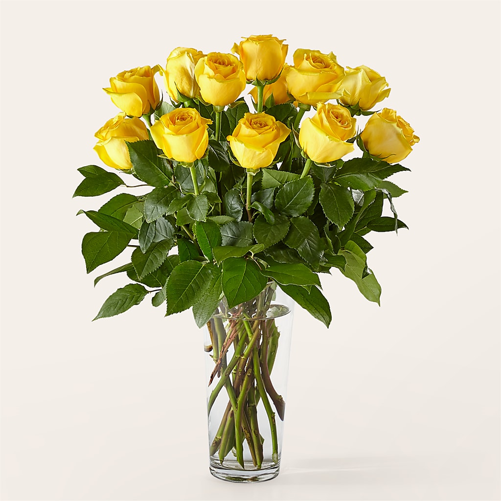 Long Stem Yellow Rose Bouquet – DAISY'S FLOWER SHOP, Hemet CA
