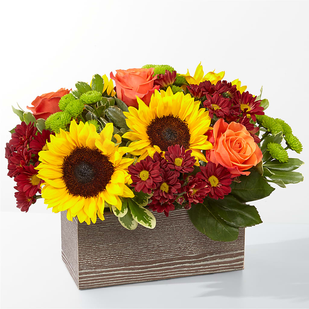 Happy Harvest Garden – DAISY'S FLOWER SHOP, Hemet CA