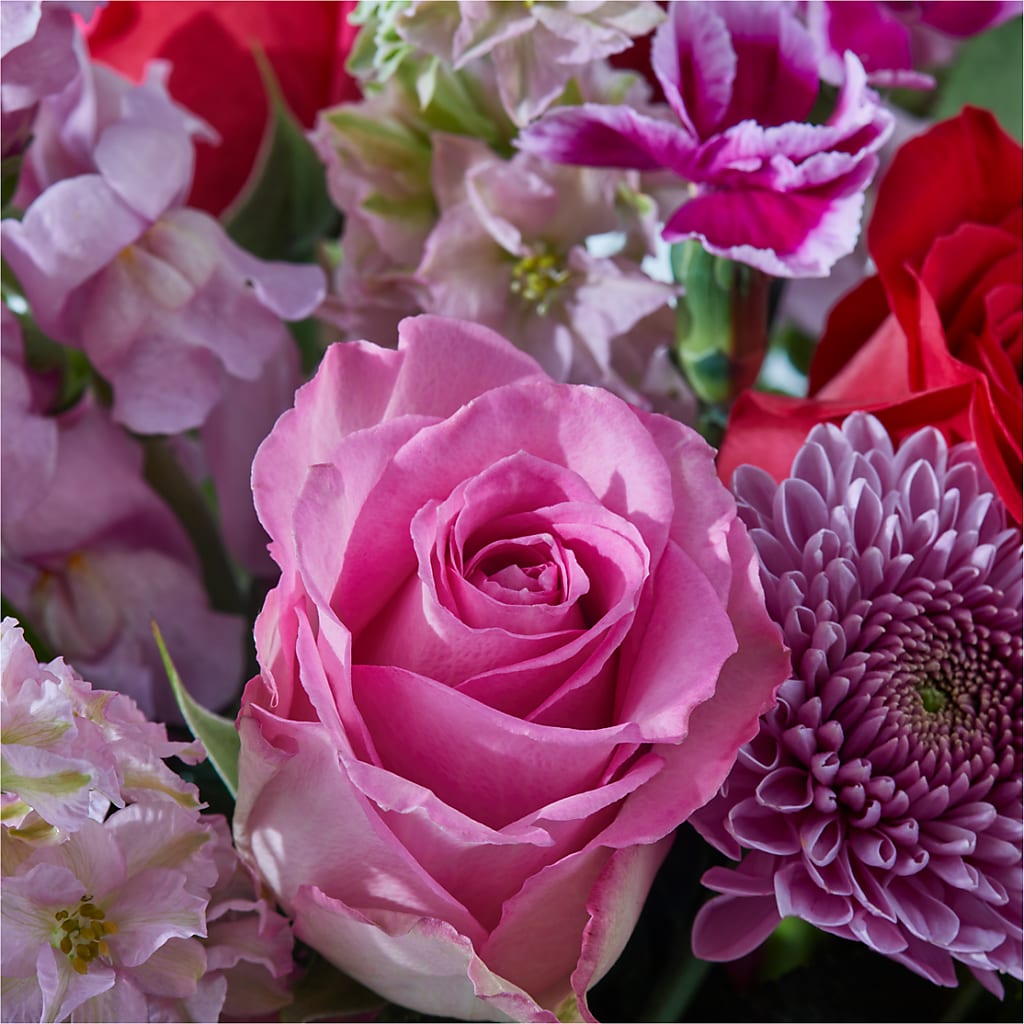 Better Together - A Luxury Florist Original – DAISY'S FLOWER SHOP, Hemet CA