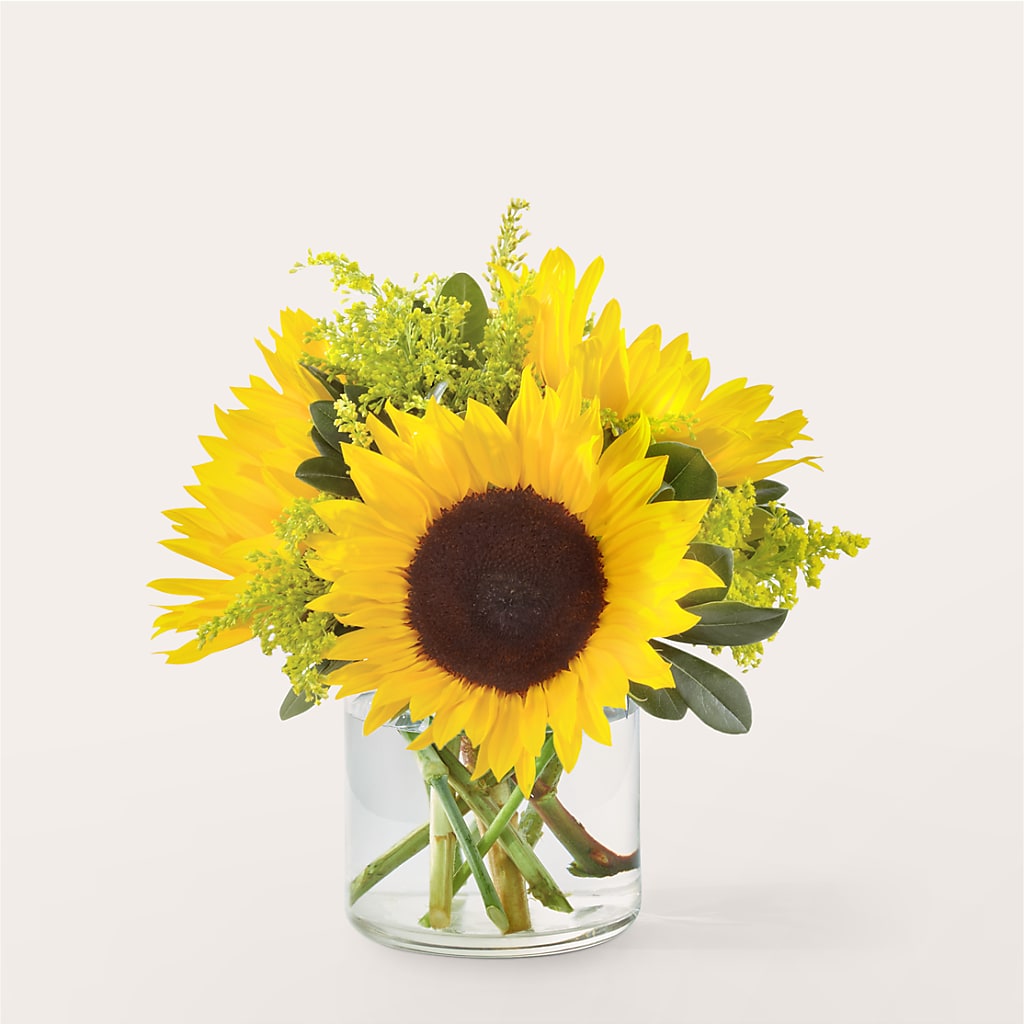 Beaming Sunflower Bouquet – DAISY'S FLOWER SHOP, Hemet CA