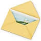 Greeting Card – DAISY'S FLOWER SHOP, Hemet CA