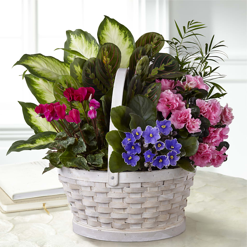 Peaceful Garden Planter – DAISY'S FLOWER SHOP, Hemet CA