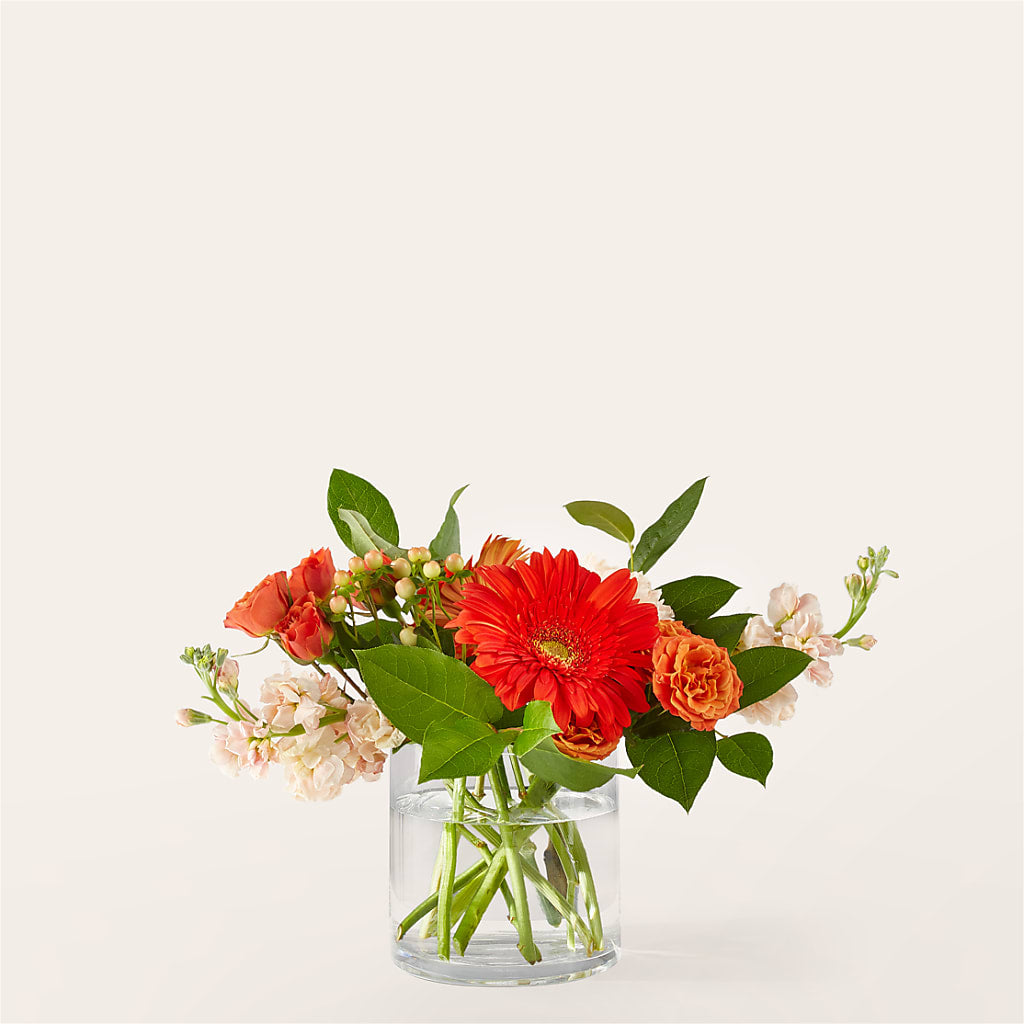 Paloma Please Bouquet – DAISY'S FLOWER SHOP, Hemet CA