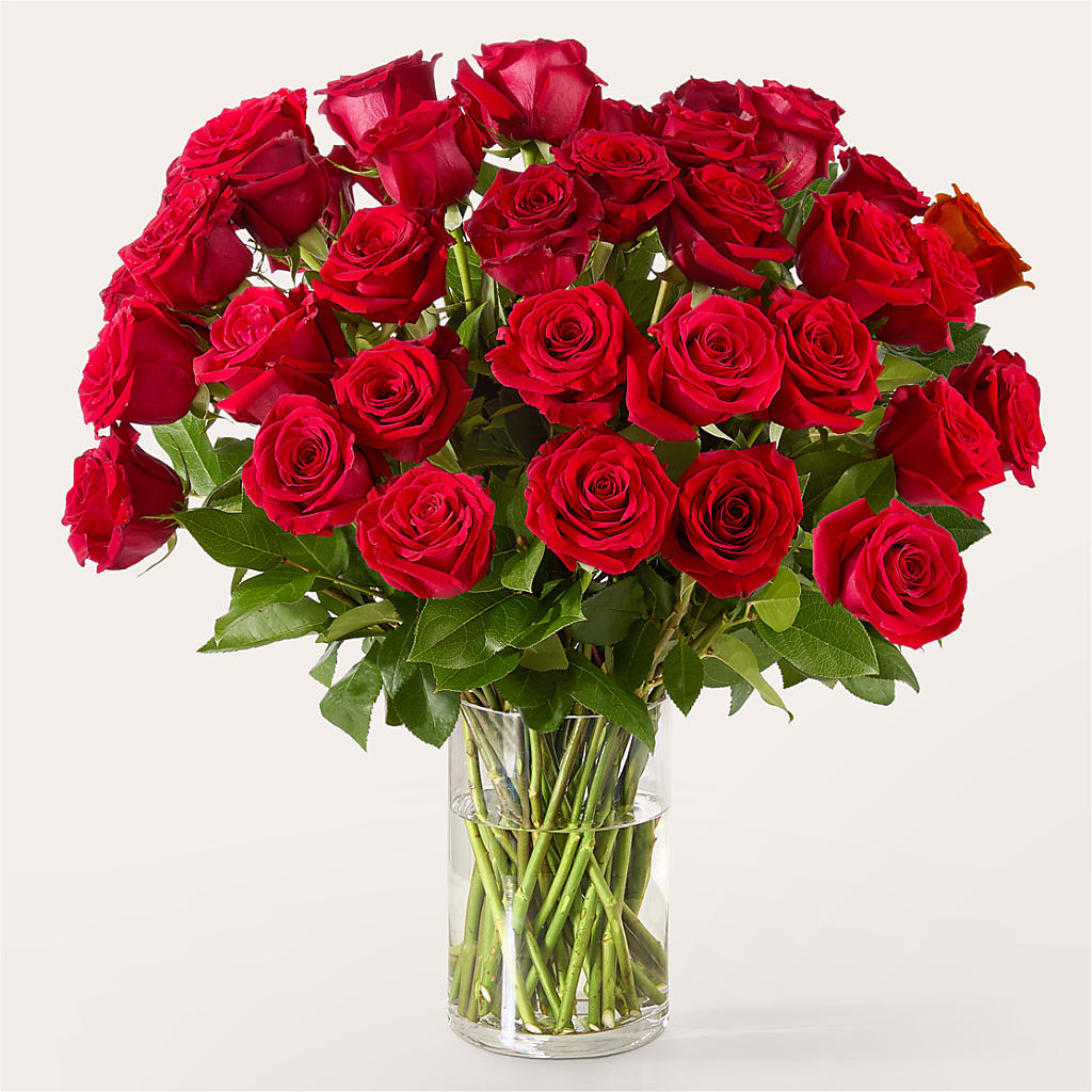 The One Red Rose Bouquet – DAISY'S FLOWER SHOP, Hemet CA