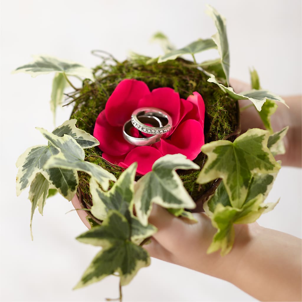 Lila Rose Ring Nest – DAISY'S FLOWER SHOP, Hemet CA