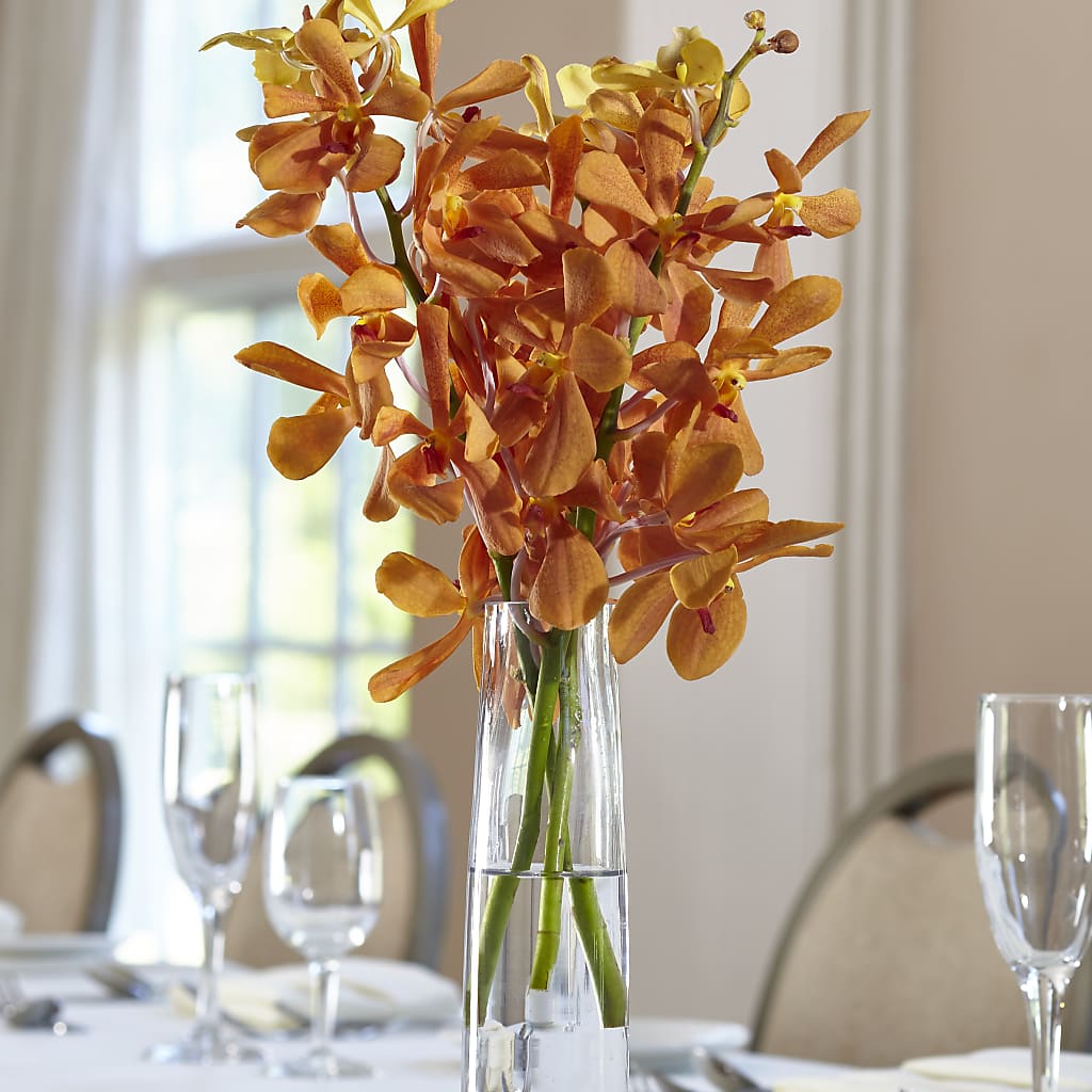 Orange Mokara Bud Vase – DAISY'S FLOWER SHOP, Hemet CA