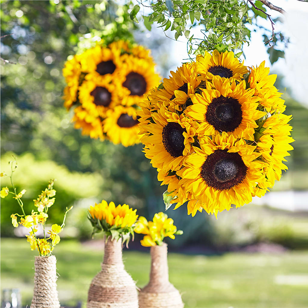 Sublime Garden Hanging Arrangement – DAISY'S FLOWER SHOP, Hemet CA