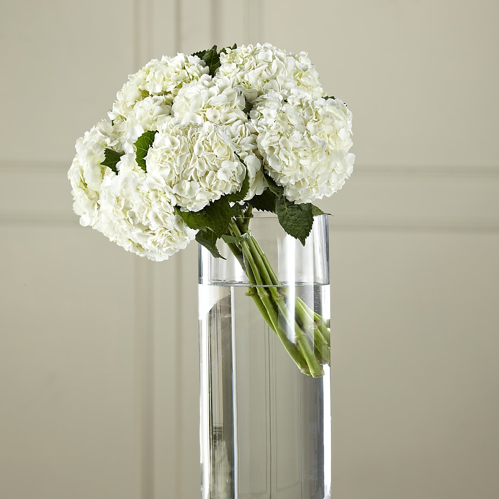 White Hydrangea Hand-Tied Bouquet – DAISY'S FLOWER SHOP, Hemet CA