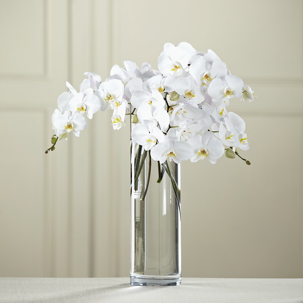 White Phalaenopsis Bouquet – DAISY'S FLOWER SHOP, Hemet CA
