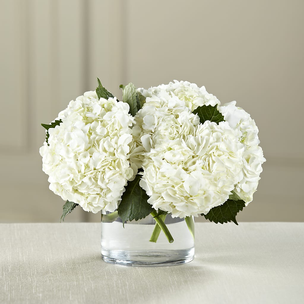 White Hydrangea Bouquet – DAISY'S FLOWER SHOP, Hemet CA