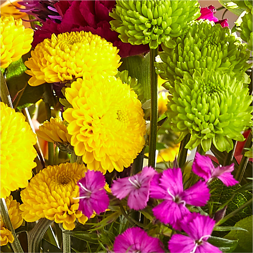 Bold & Bright – A Florist Original – DAISY'S FLOWER SHOP, Hemet CA
