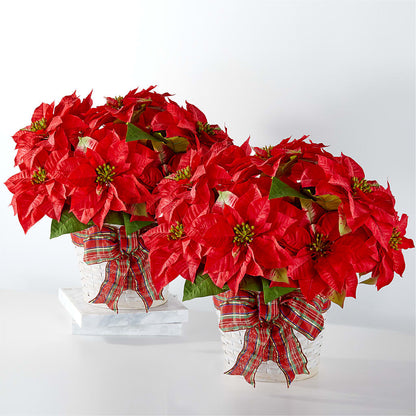 Happiest Holidays Poinsettia Bundle – DAISY'S FLOWER SHOP, Hemet CA