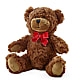 Adorable Plush Bear – DAISY'S FLOWER SHOP, Hemet CA