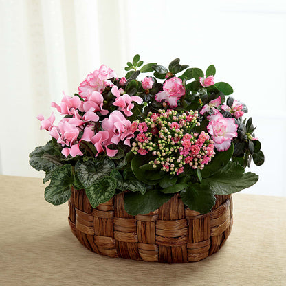 Pink Assortment – DAISY'S FLOWER SHOP, Hemet CA