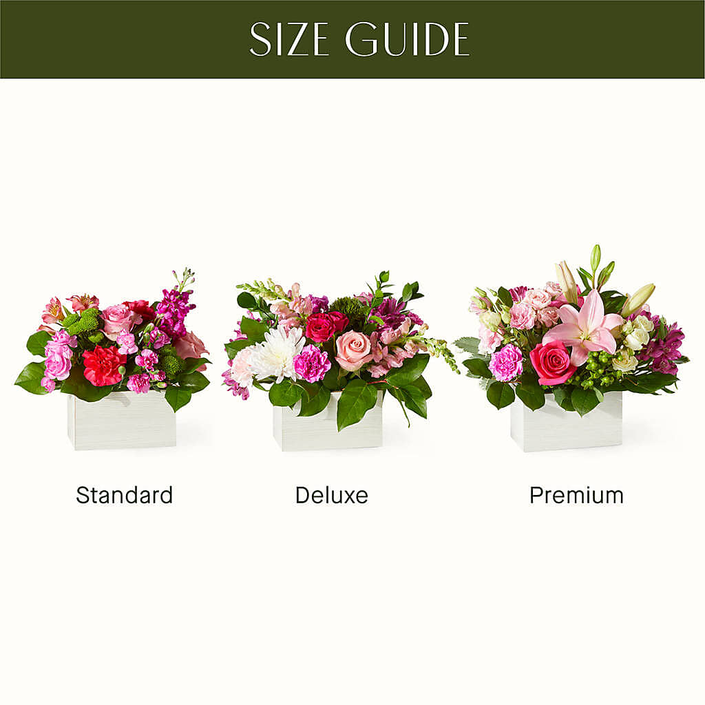 Sweetberry Box – A Florist Original – DAISY'S FLOWER SHOP, Hemet CA