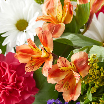 Oopsie Daisy Box Bouquet – DAISY'S FLOWER SHOP, Hemet CA