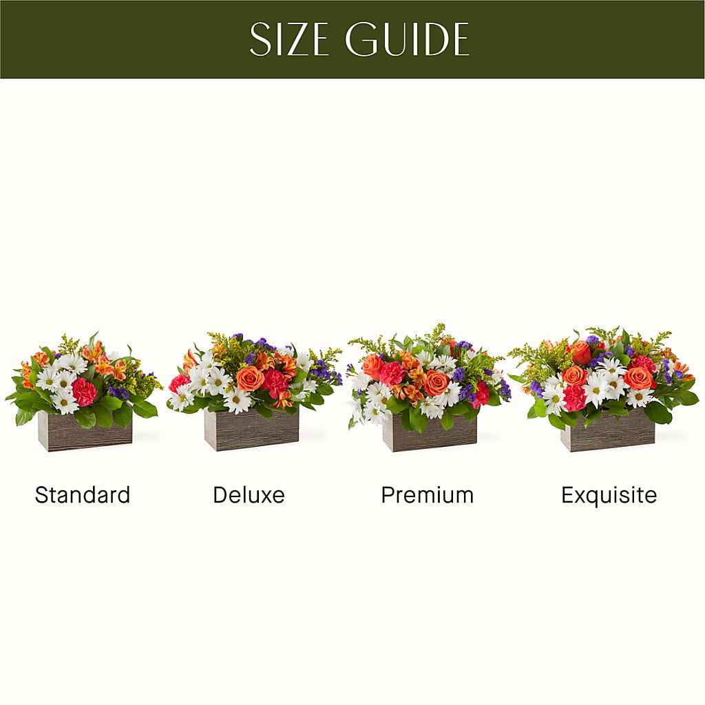 Oopsie Daisy Box Bouquet – DAISY'S FLOWER SHOP, Hemet CA