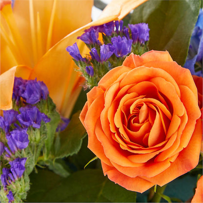Radiant Citrus Box Bouquet – DAISY'S FLOWER SHOP, Hemet CA