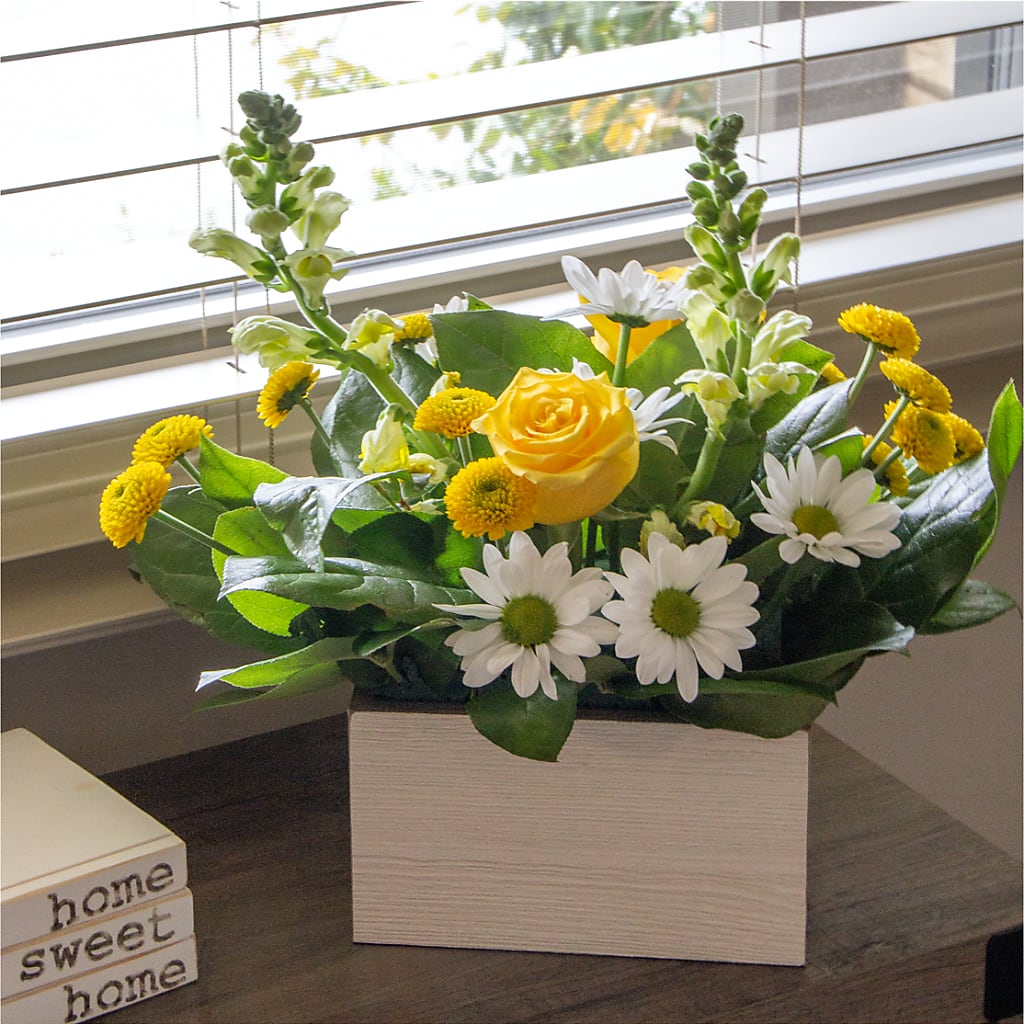Sun Salutation Box Bouquet – DAISY'S FLOWER SHOP, Hemet CA