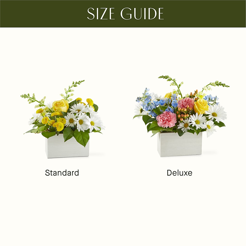 Sun Salutation Box Bouquet – DAISY'S FLOWER SHOP, Hemet CA