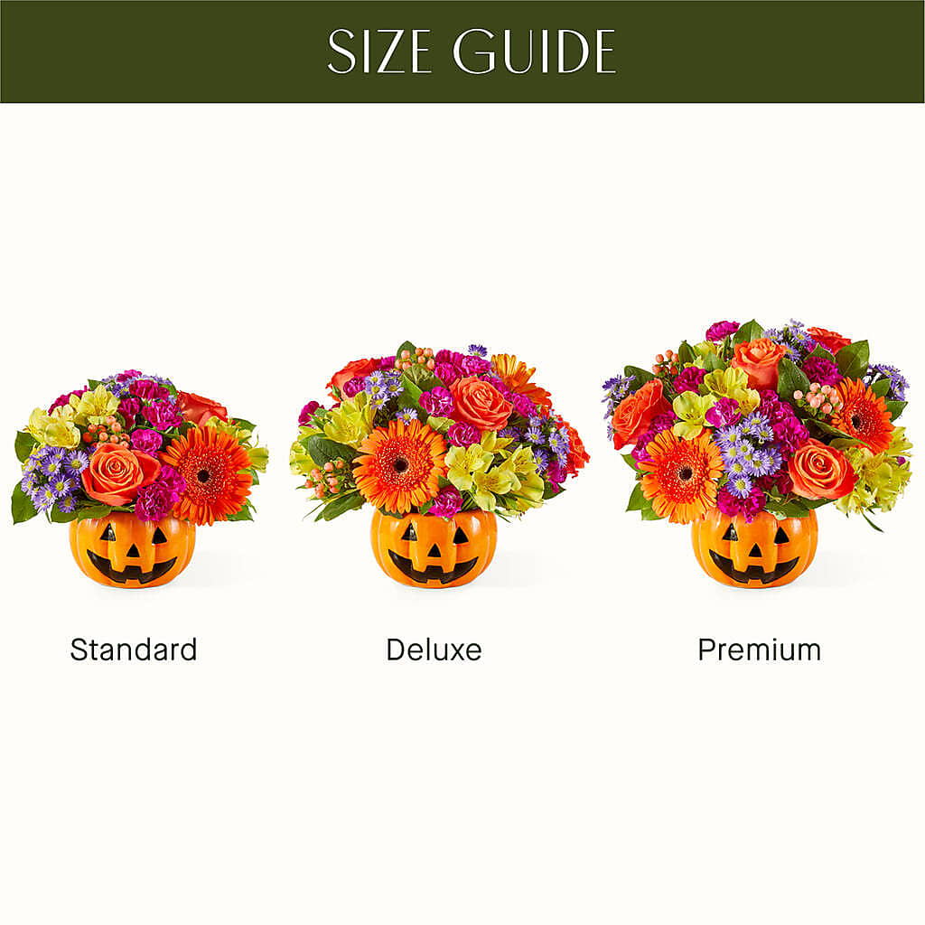 Tricks & Treats Pumpkin – DAISY'S FLOWER SHOP, Hemet CA