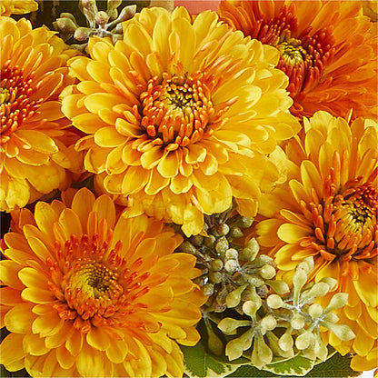 Peachy Pumpkin – DAISY'S FLOWER SHOP, Hemet CA