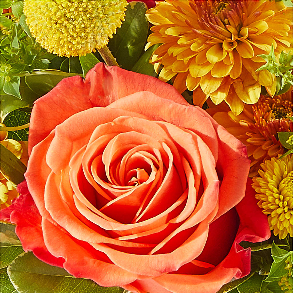 Gourdgeous Pumpkin – DAISY'S FLOWER SHOP, Hemet CA