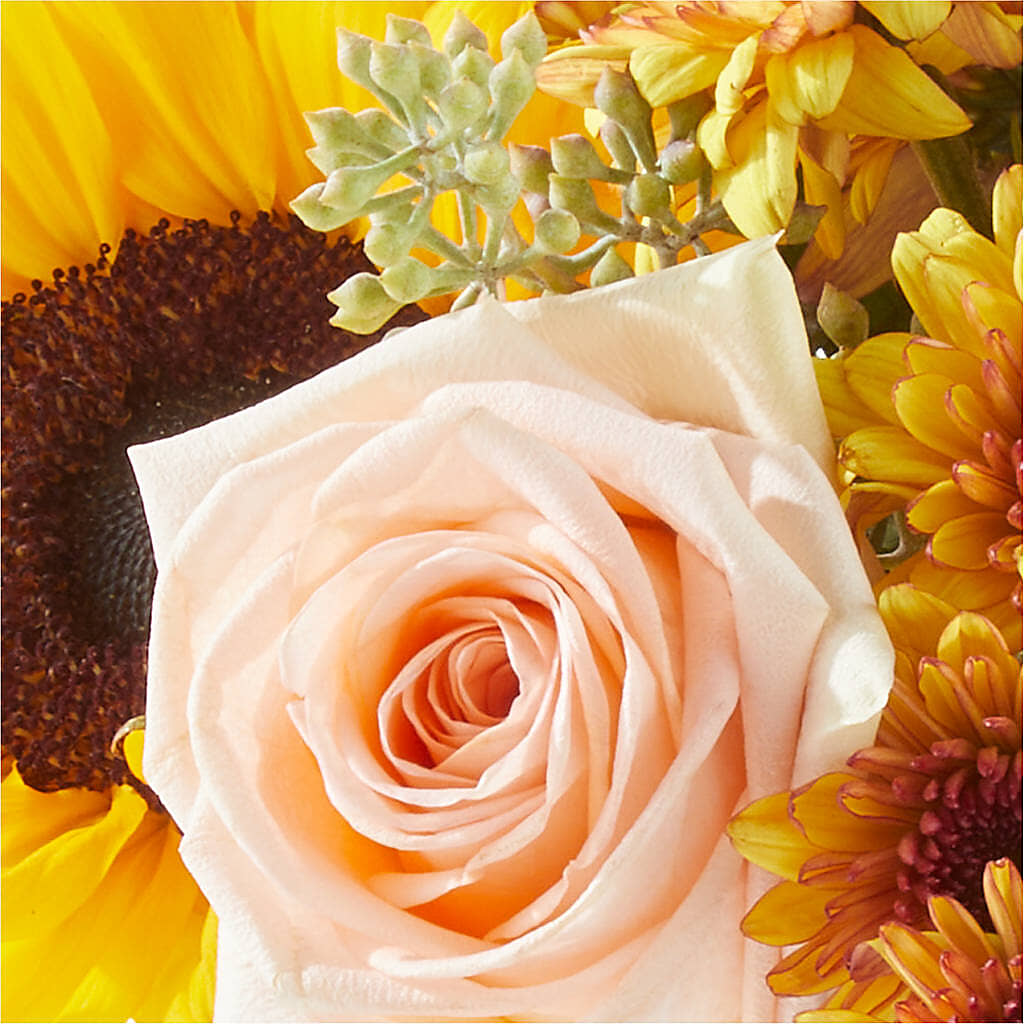Pumpkin to Talk About Bouquet – DAISY'S FLOWER SHOP, Hemet CA