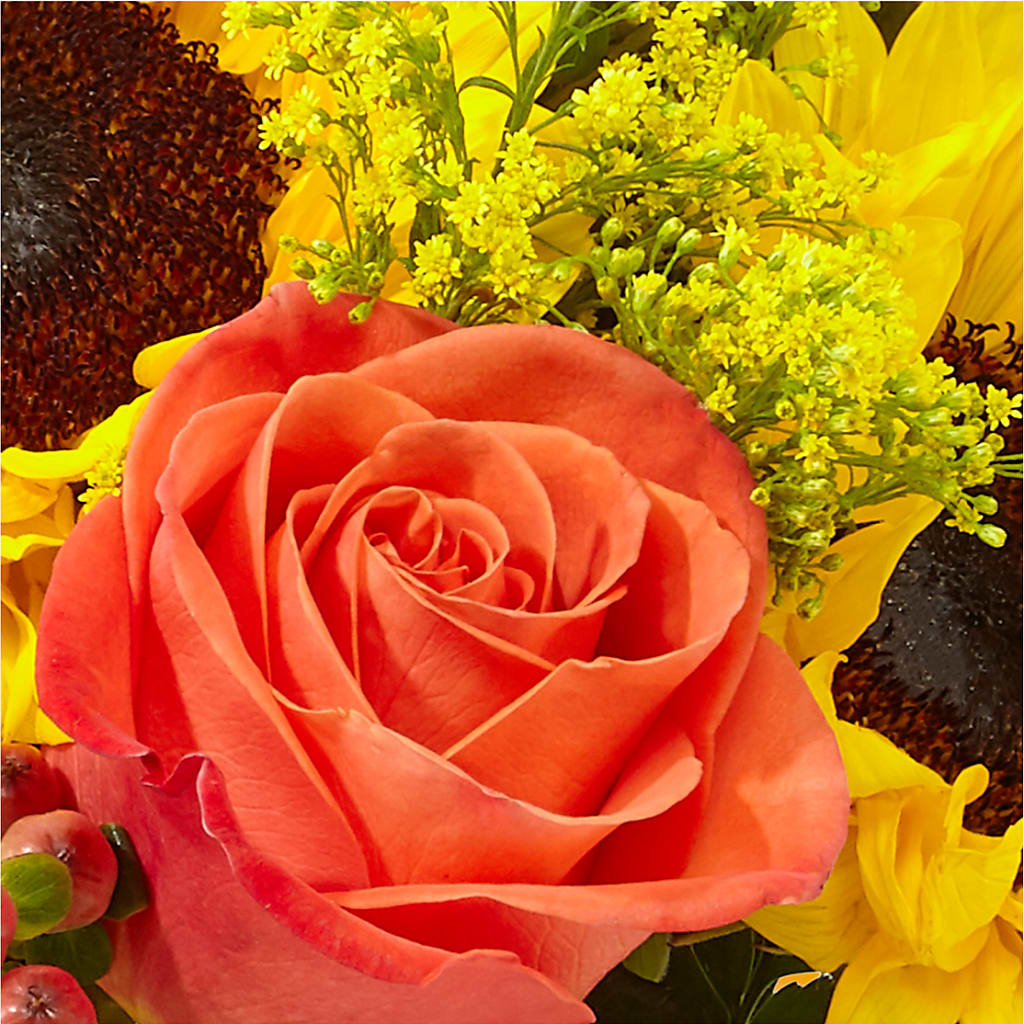 Pick of the Patch Pumpkin Bouquet – DAISY'S FLOWER SHOP, Hemet CA