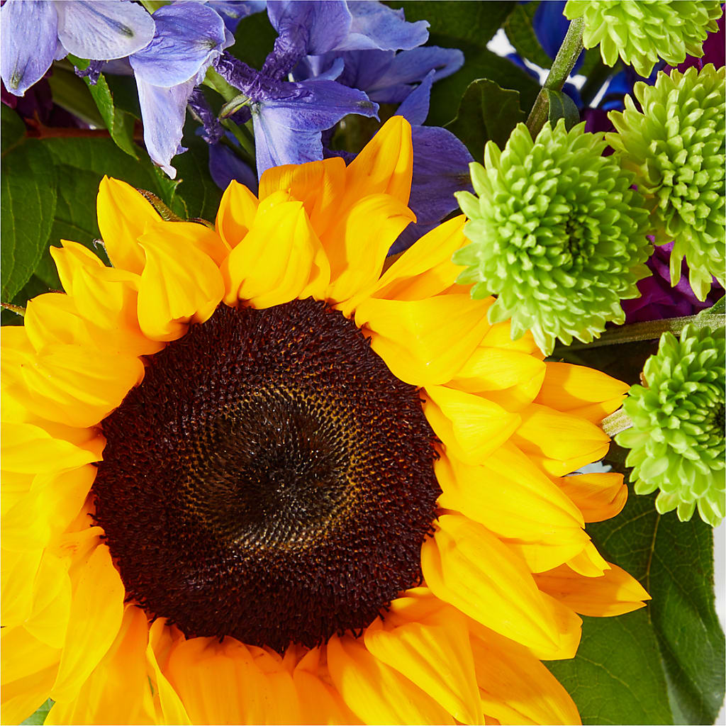 Catching Rays Bouquet – DAISY'S FLOWER SHOP, Hemet CA