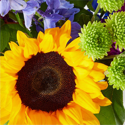Catching Rays Bouquet – DAISY'S FLOWER SHOP, Hemet CA