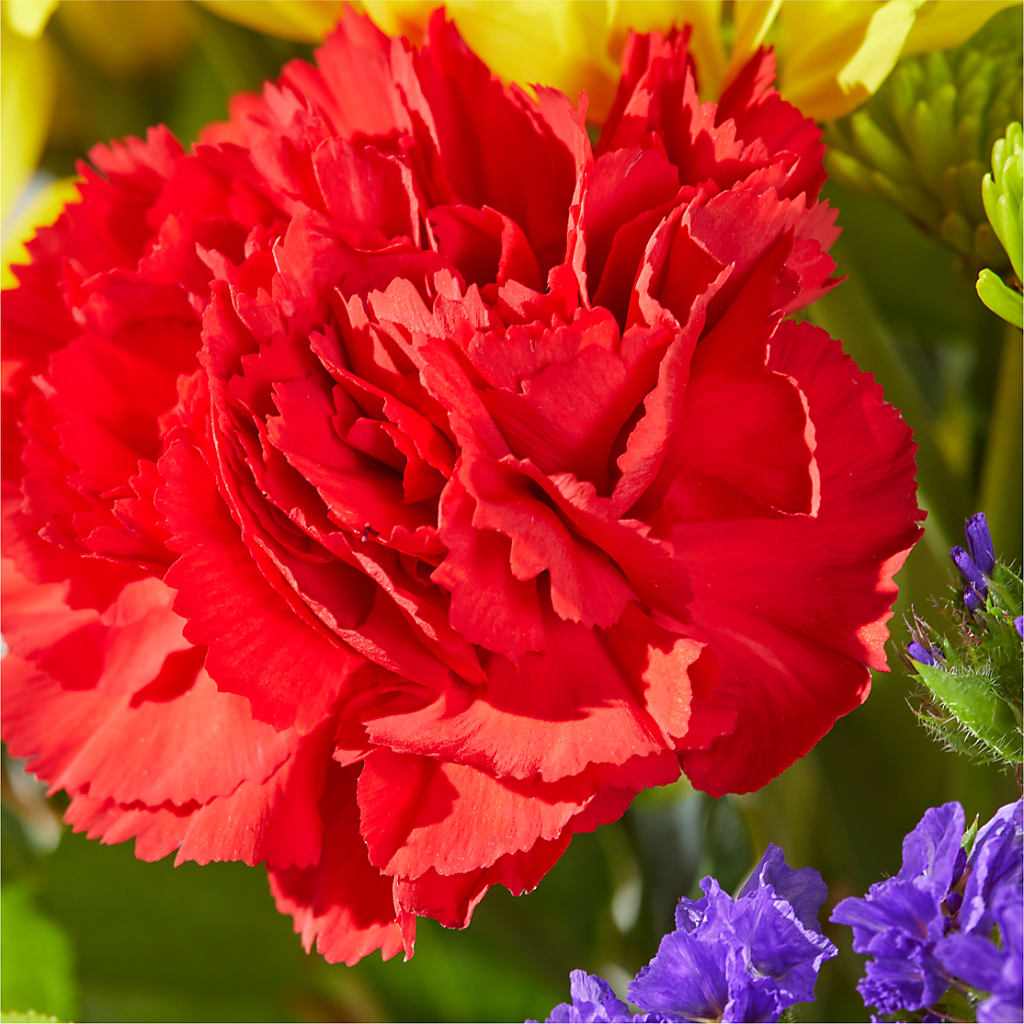 Brighter Days Bouquet – DAISY'S FLOWER SHOP, Hemet CA