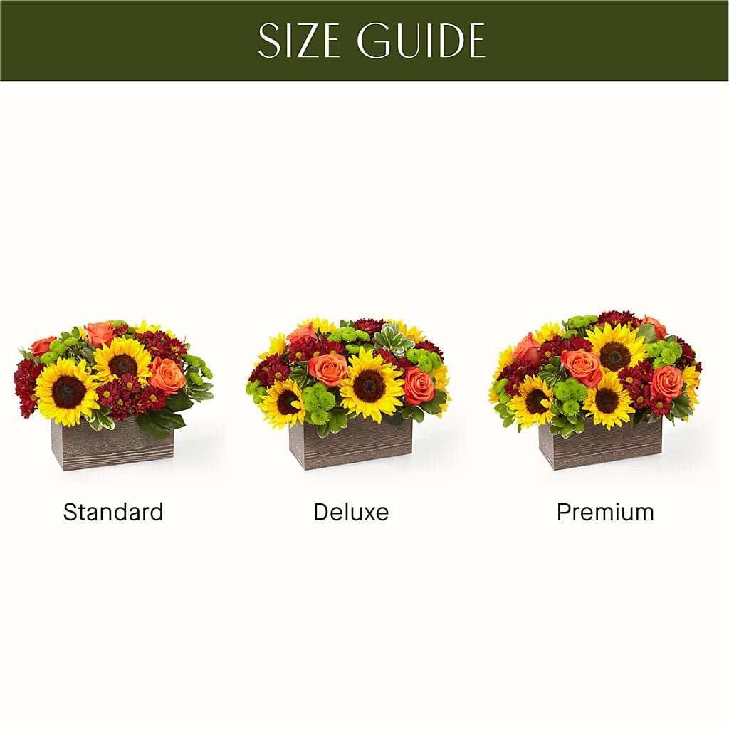 Happy Harvest Garden – DAISY'S FLOWER SHOP, Hemet CA