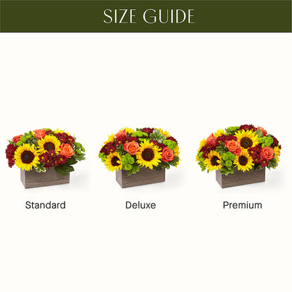Happy Harvest Garden – DAISY'S FLOWER SHOP, Hemet CA