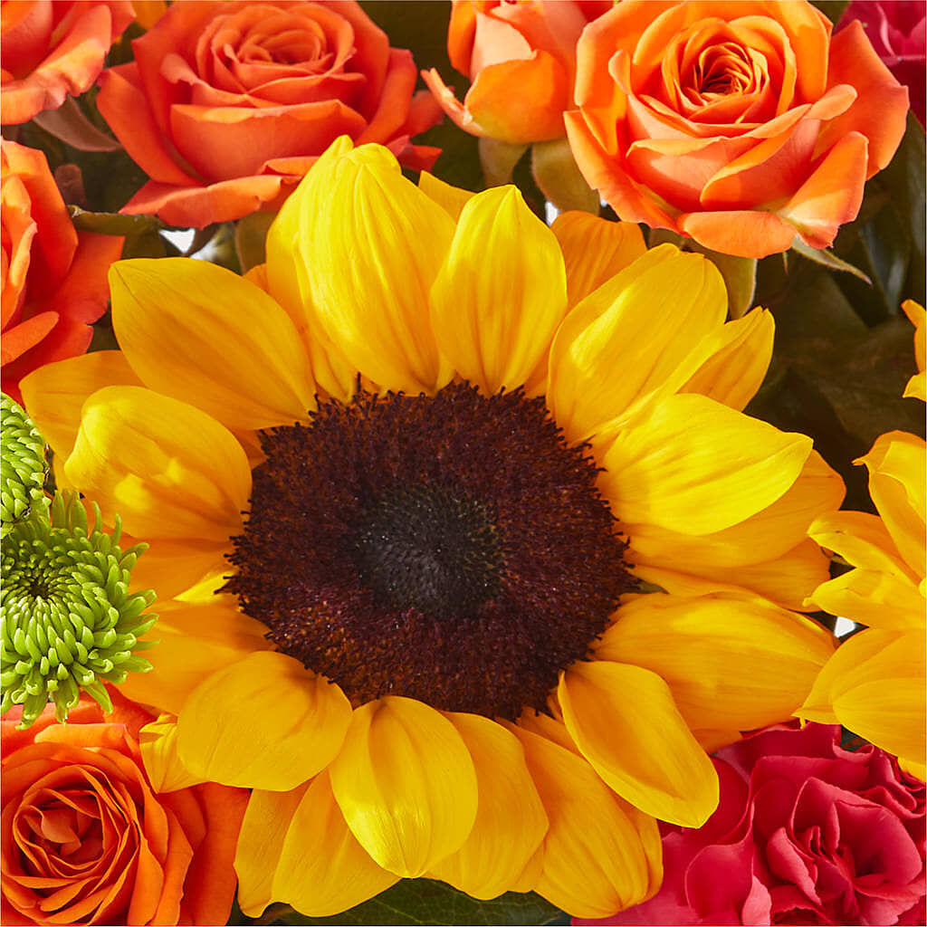 Sun-drenched Blooms Box Bouquet – DAISY'S FLOWER SHOP, Hemet CA