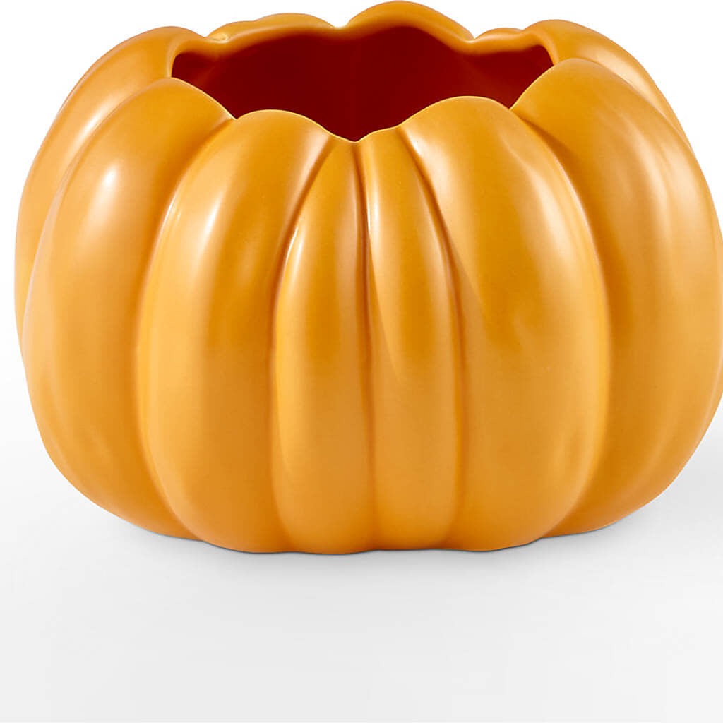 Golden Gourd Pumpkin Bouquet – DAISY'S FLOWER SHOP, Hemet CA