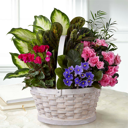 Peaceful Garden Planter – DAISY'S FLOWER SHOP, Hemet CA