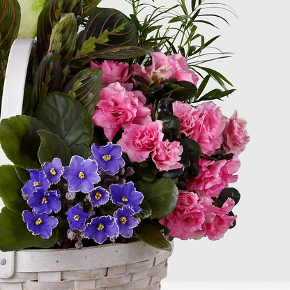 Peaceful Garden Planter – DAISY'S FLOWER SHOP, Hemet CA