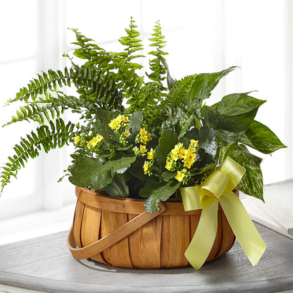 Always Dear Dishgarden – DAISY'S FLOWER SHOP, Hemet CA