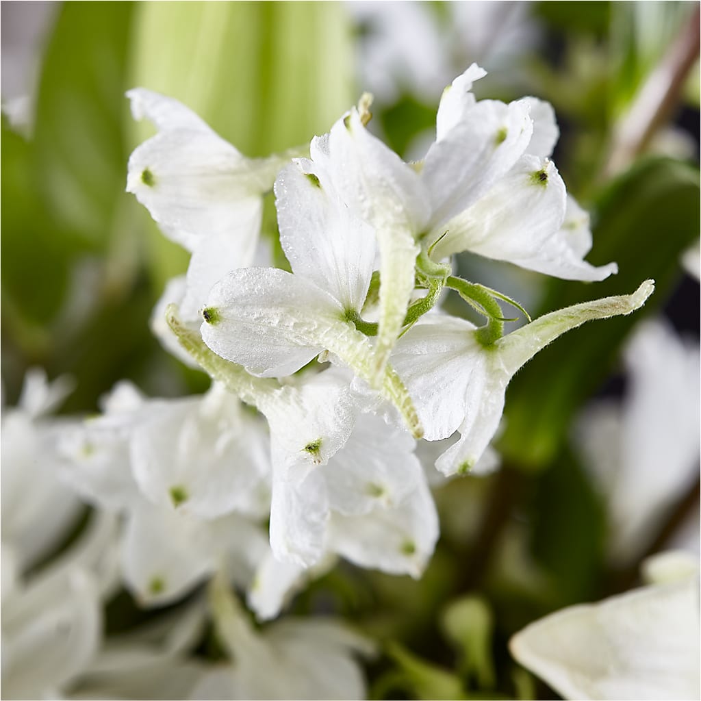 Classic Ivory – A Florist Original – DAISY'S FLOWER SHOP, Hemet CA