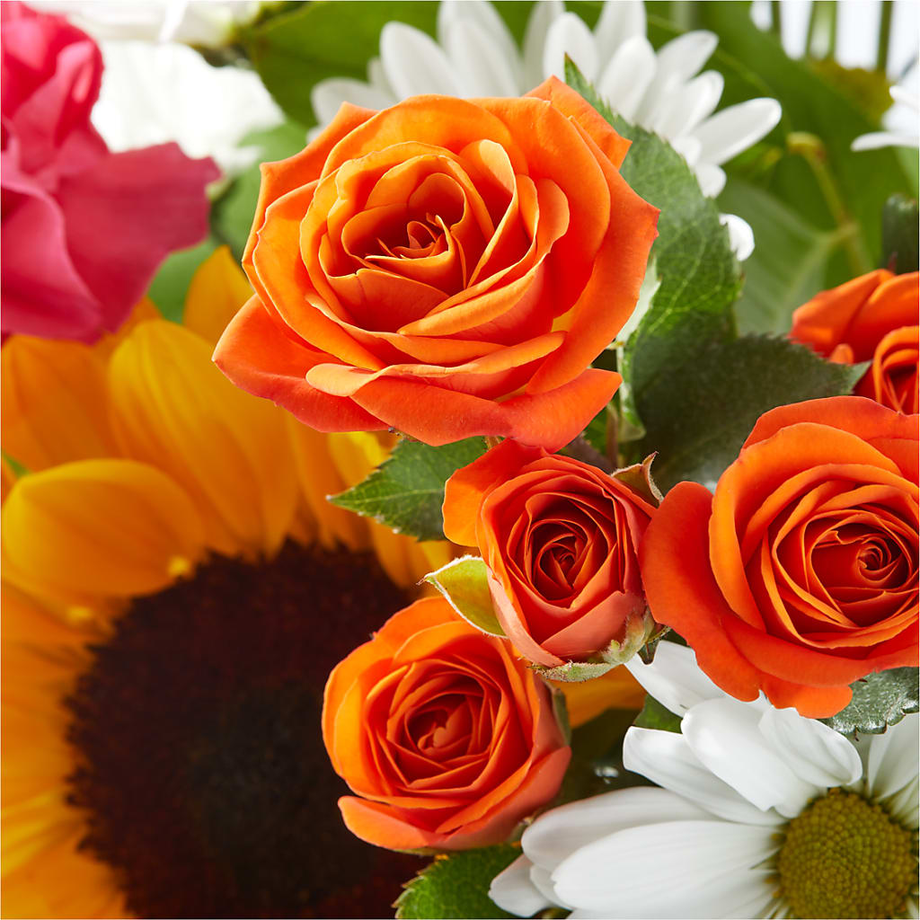 Sun-drenched Blooms Bouquet – DAISY'S FLOWER SHOP, Hemet CA