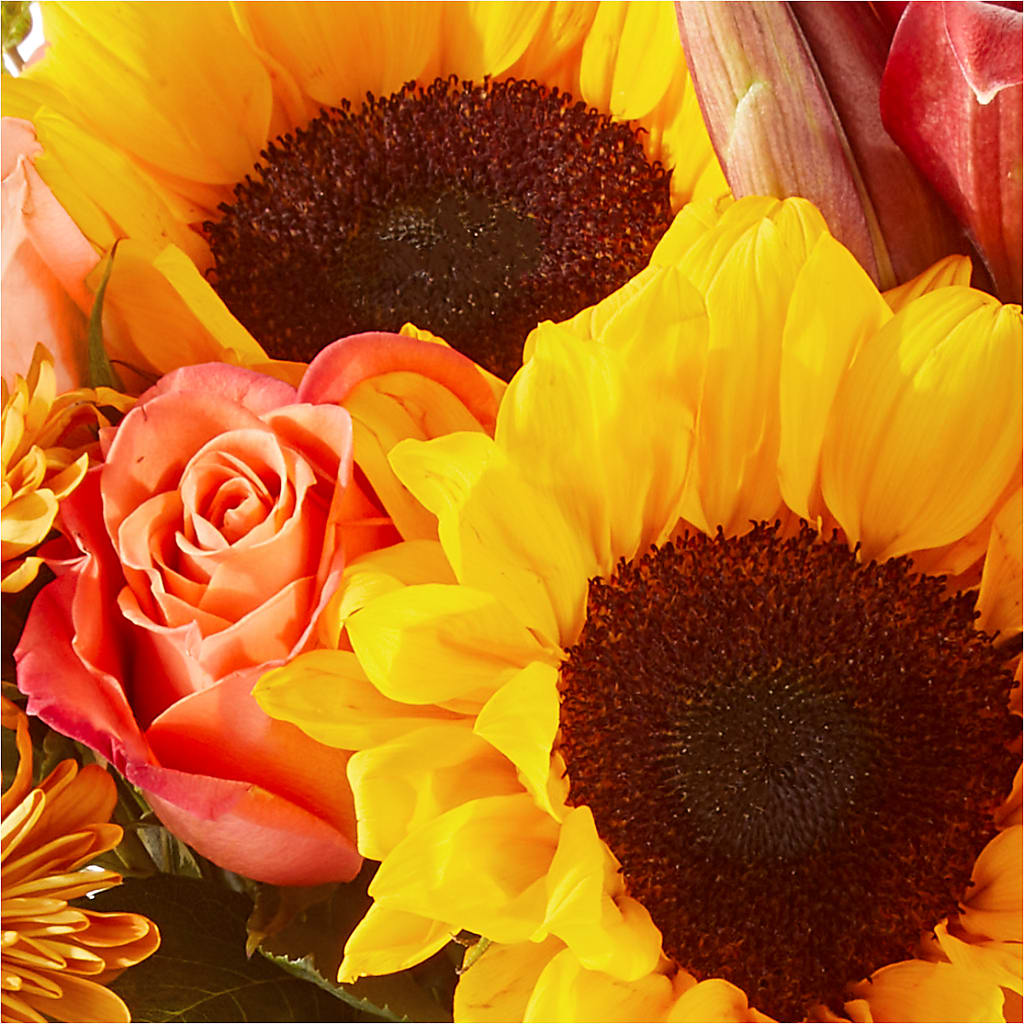 Acorn Lane Bouquet – DAISY'S FLOWER SHOP, Hemet CA
