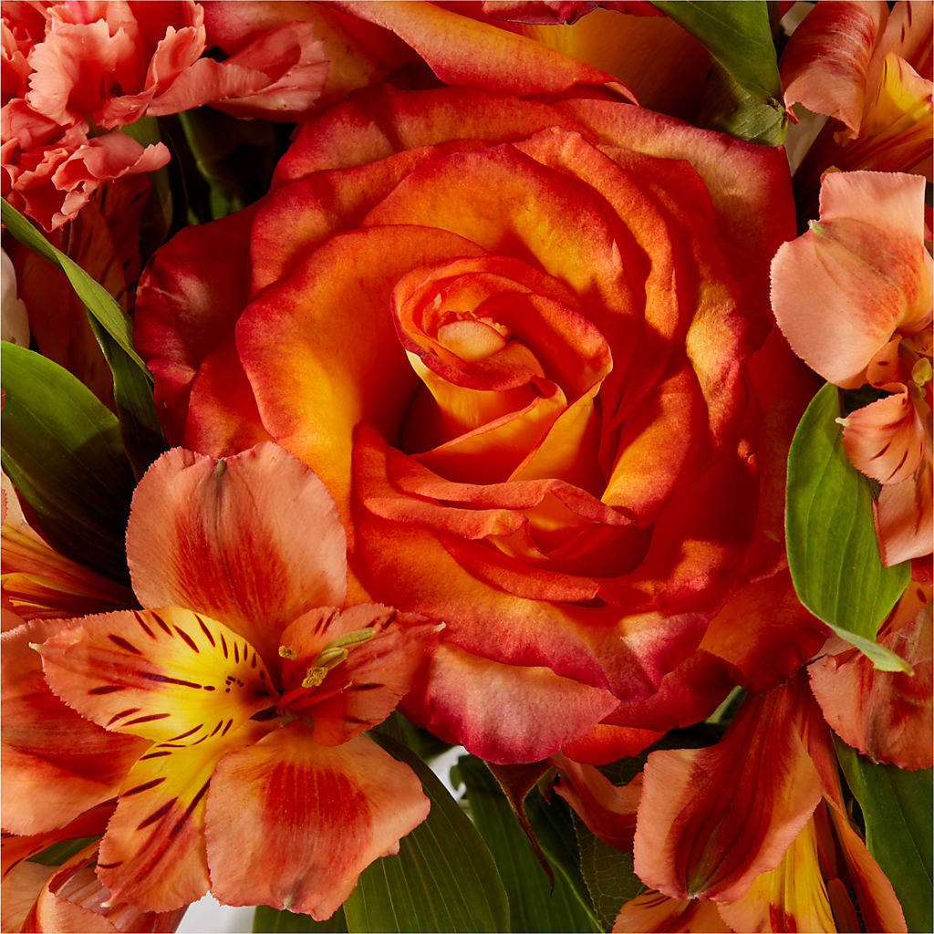 Apricot Glow Bouquet – DAISY'S FLOWER SHOP, Hemet CA