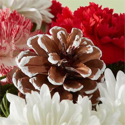 Candy Cane Lane Bouquet – DAISY'S FLOWER SHOP, Hemet CA