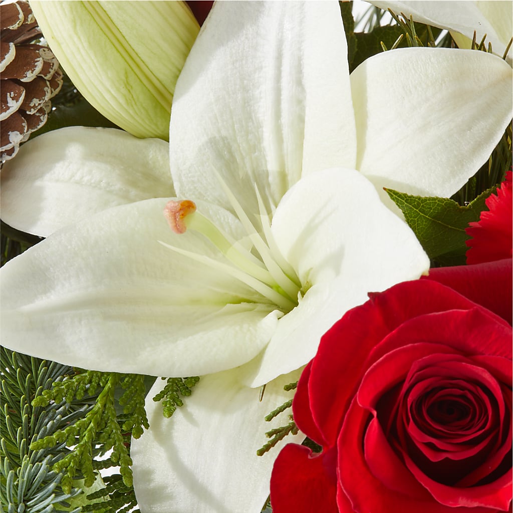 Oh So Jolly Bouquet – DAISY'S FLOWER SHOP, Hemet CA