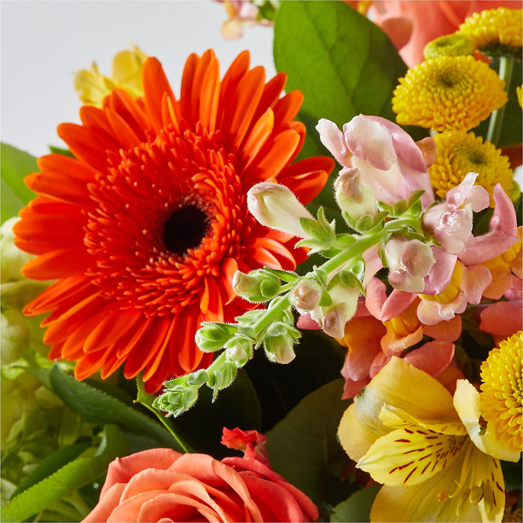 Autumn Sunshine Bouquet – DAISY'S FLOWER SHOP, Hemet CA