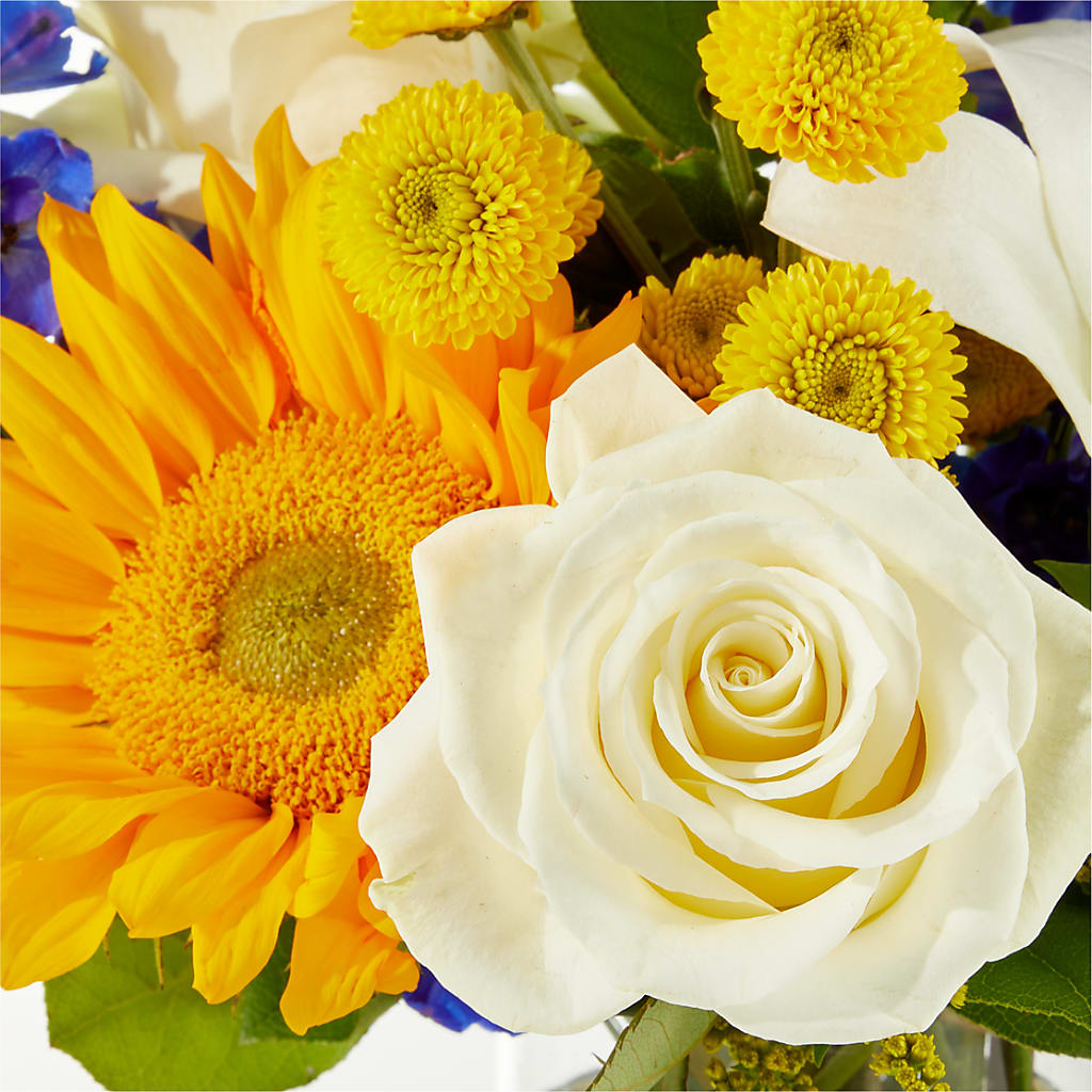 Stargazing Bouquet – DAISY'S FLOWER SHOP, Hemet CA